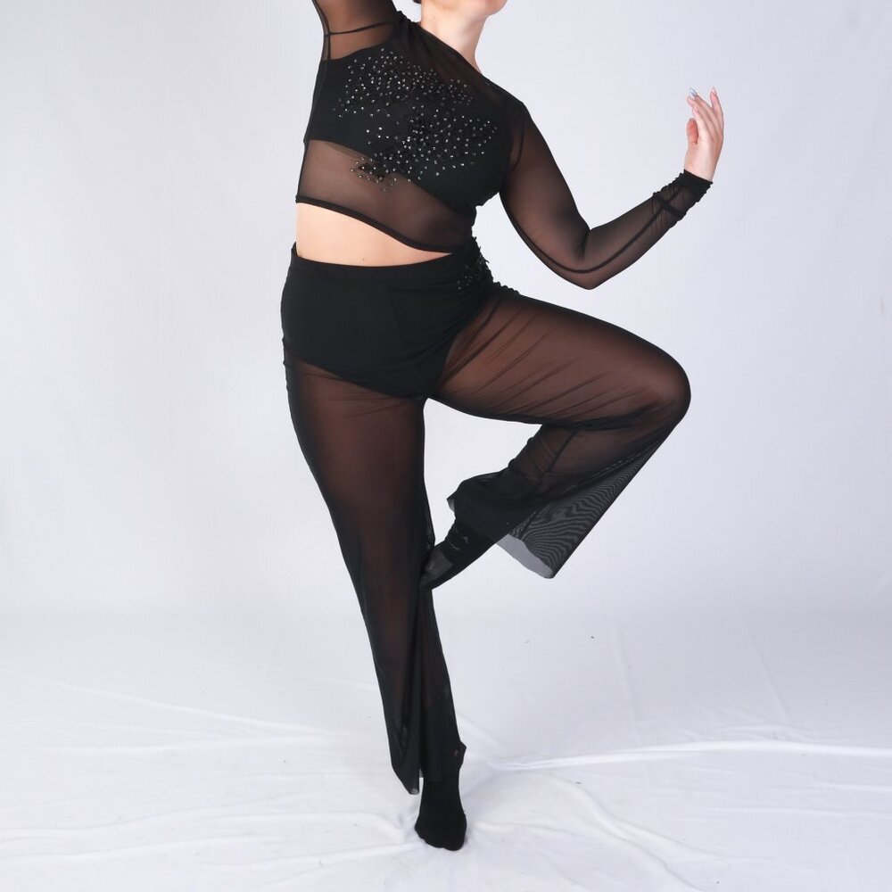 4 piece black sheer contemporary - Large adult
